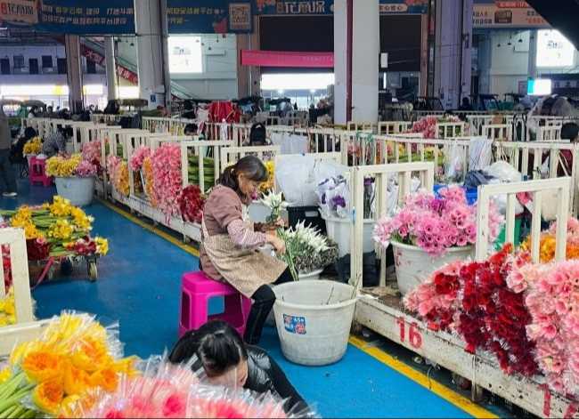 昆明の斗南花市場は世界で2番目の規模の花市場